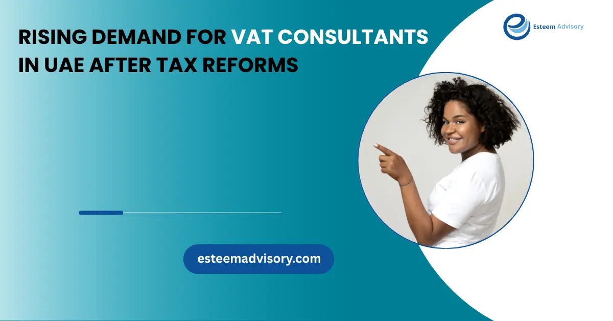 VAT Consultants in UAE